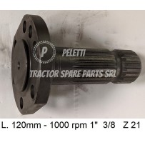  -   | Officina Peletti