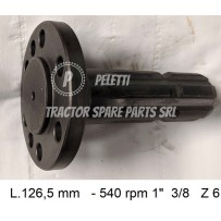  -   | Officina Peletti